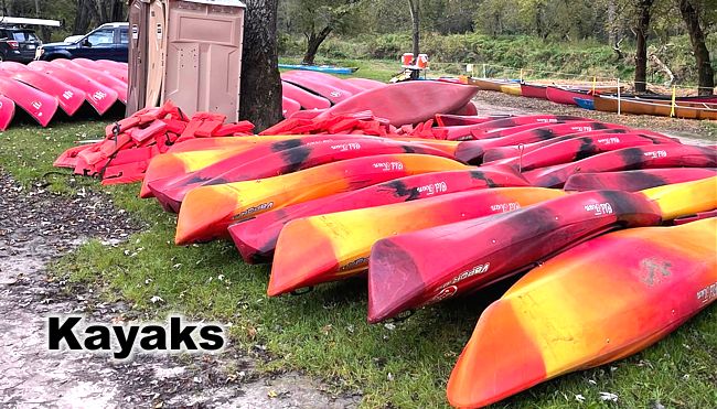 kayaks